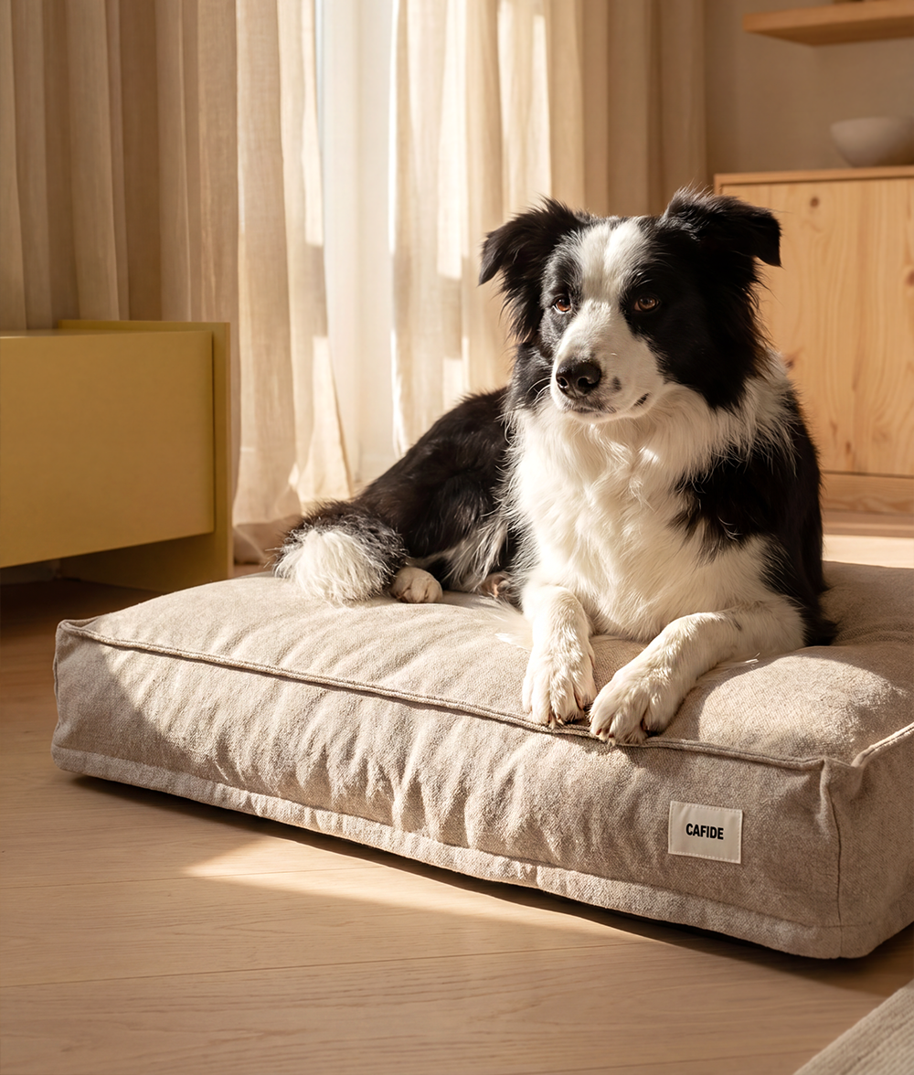 Matelas beige Atlas