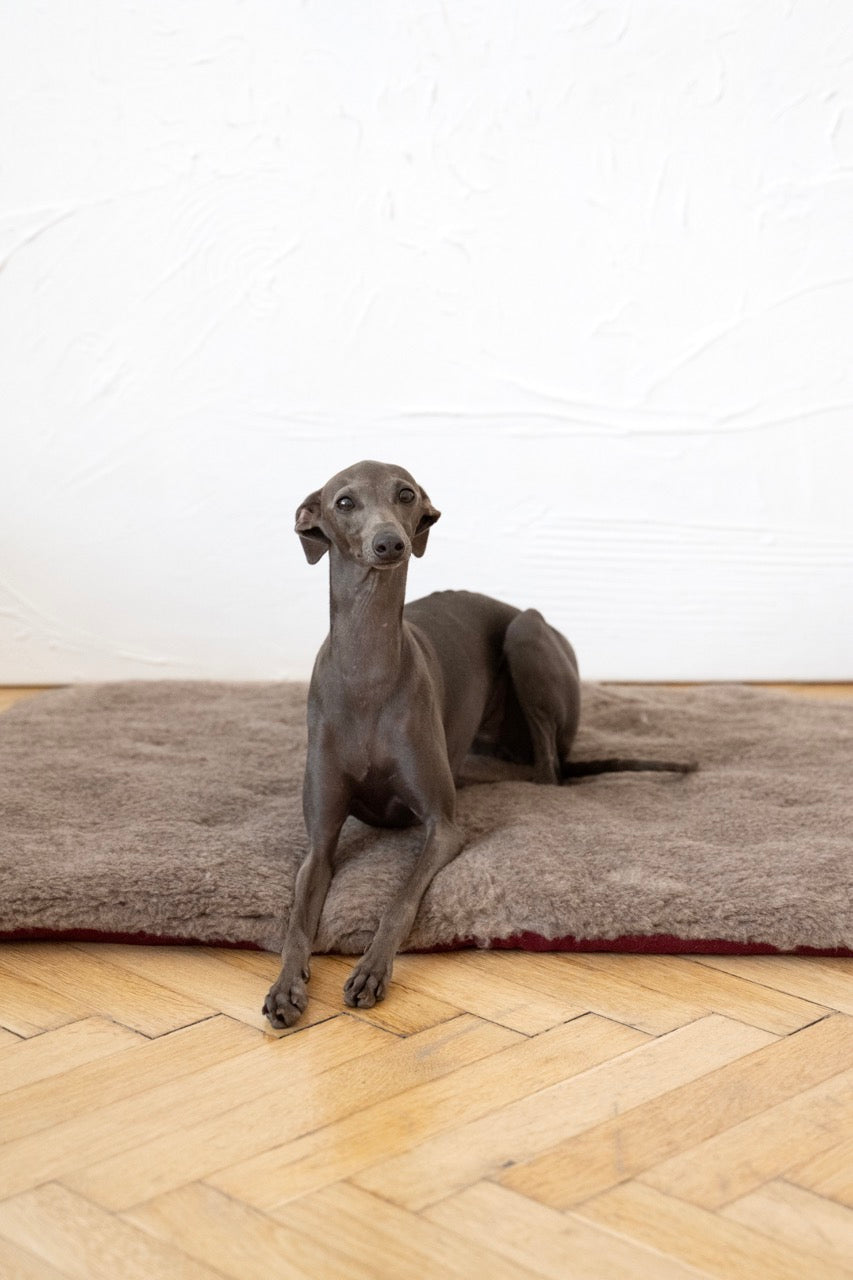 Tapis en laine naturelle - Brun