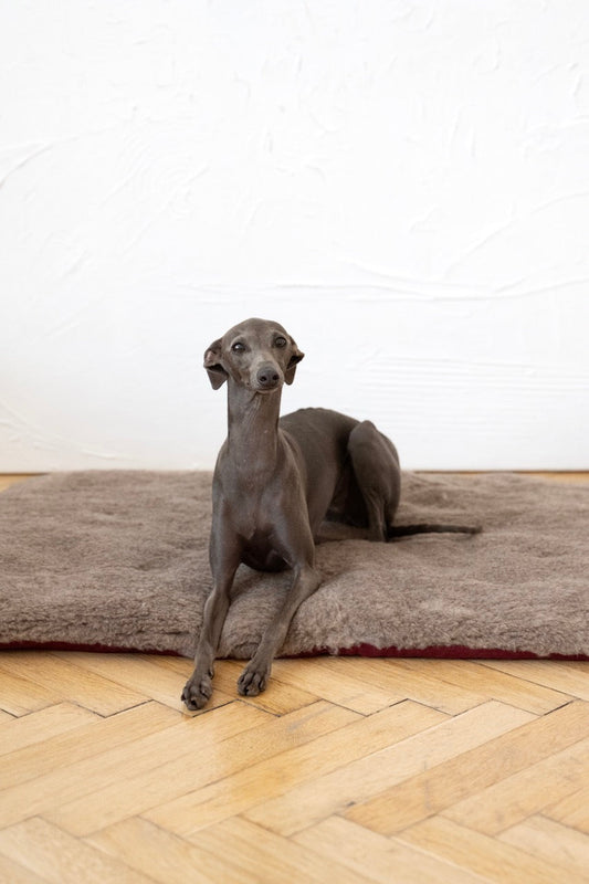 Tapis en laine naturelle - Brun