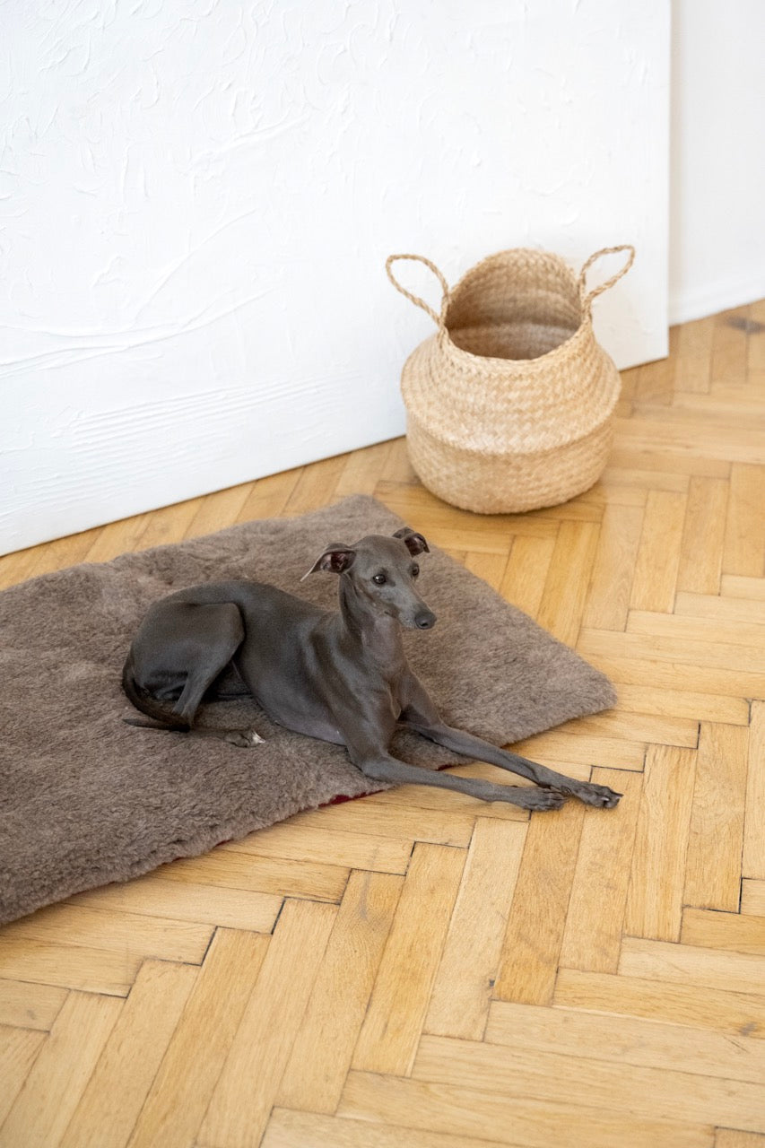 Tapis en laine naturelle - Brun