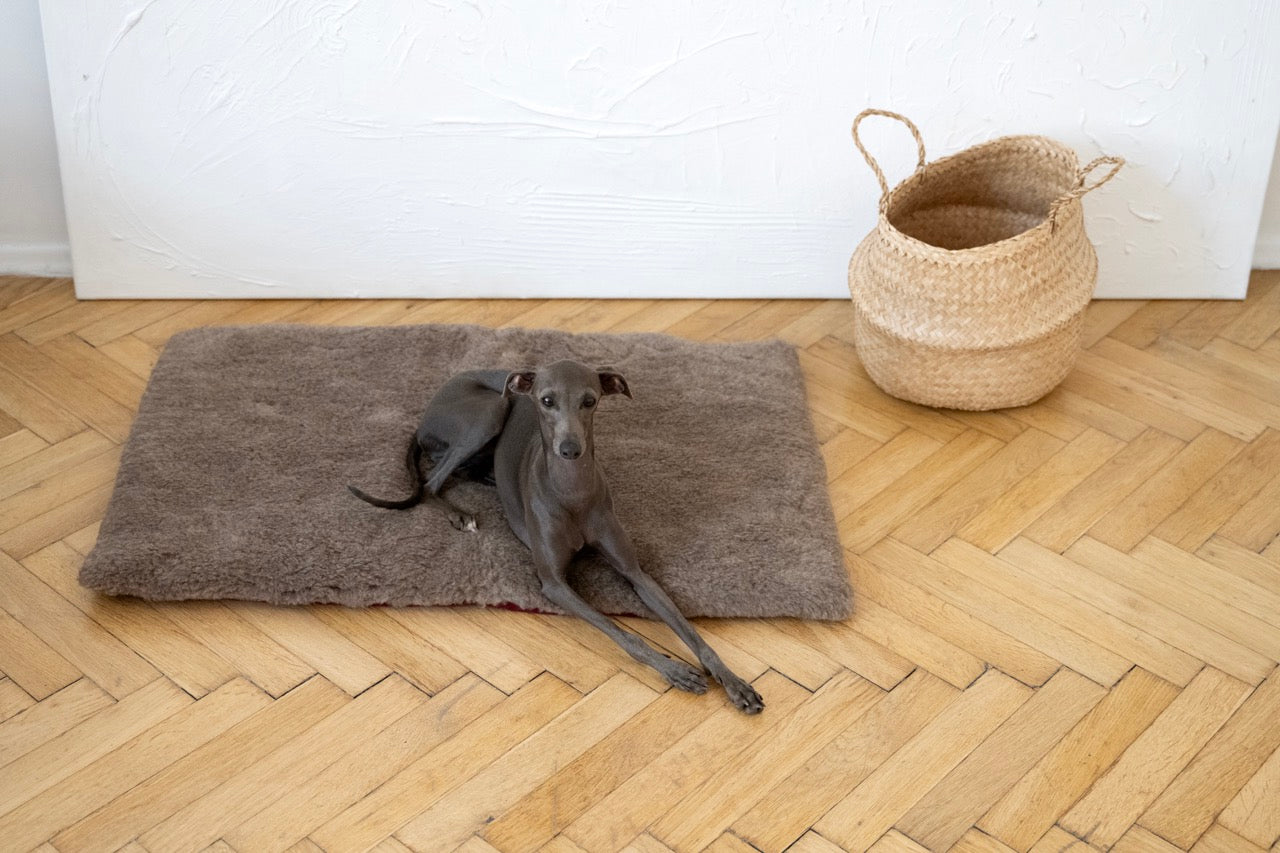Tapis en laine naturelle - Brun