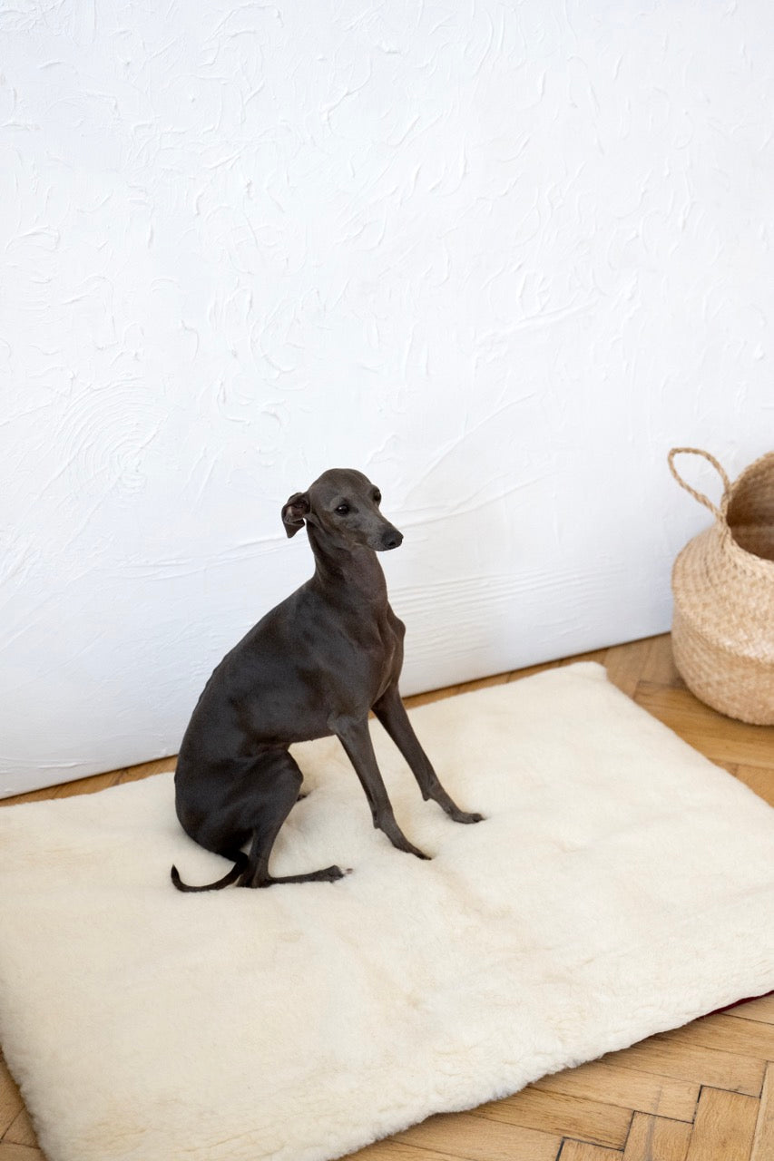 Tapis en laine naturelle - Beige