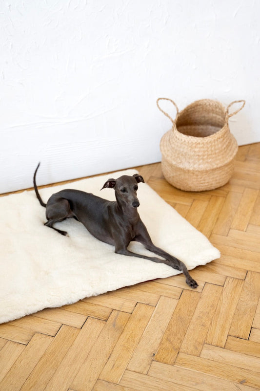 Tapis en laine naturelle - Beige