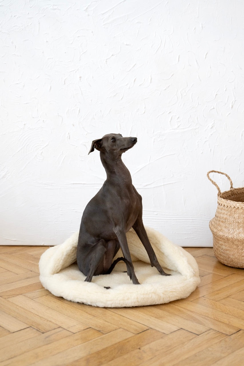 Coussin cachette en laine naturelle - Beige