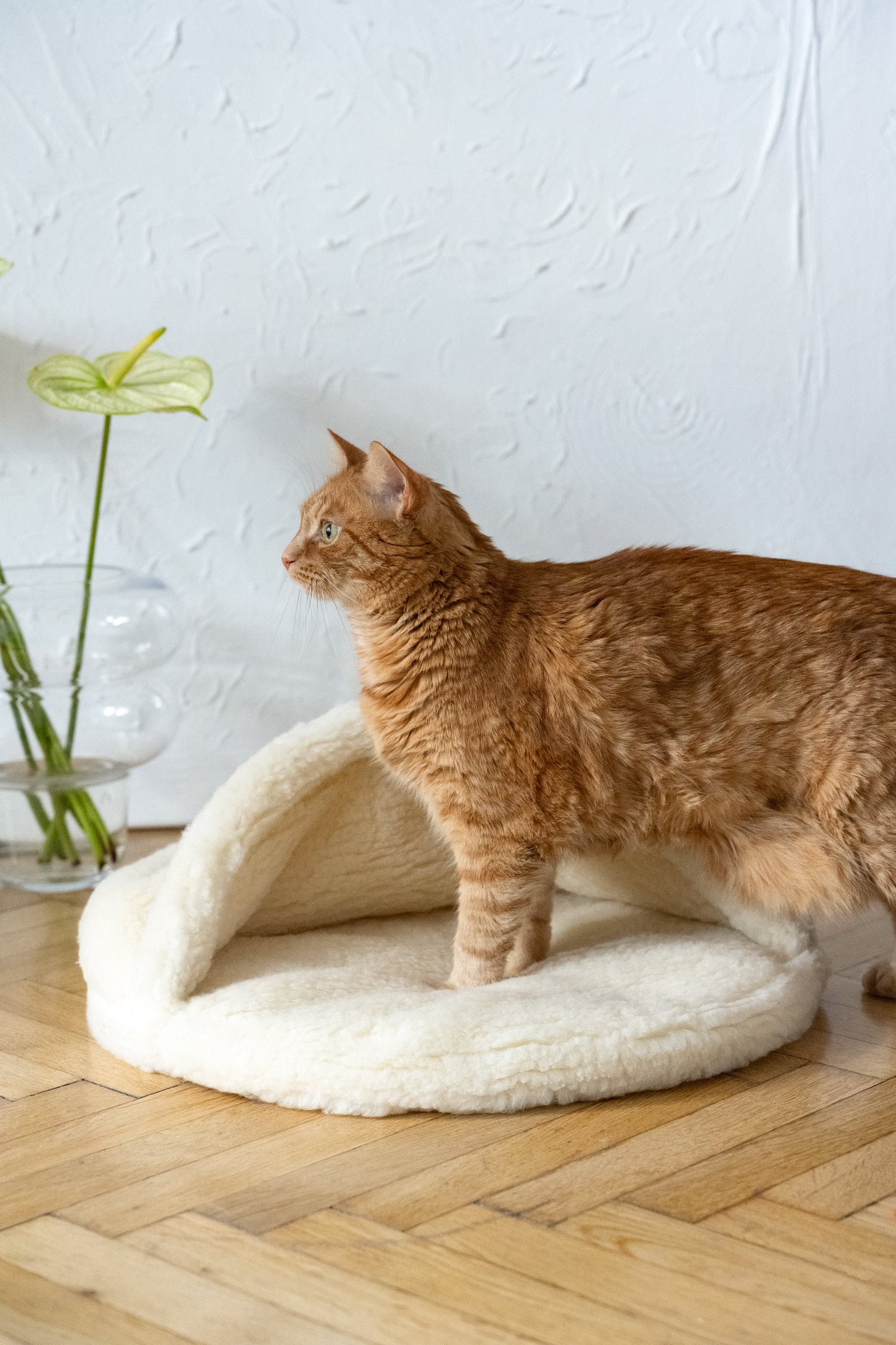 Coussin cachette en laine naturelle - Beige